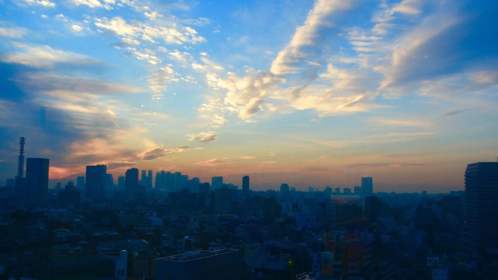 Tokyo Central Youth Hostel