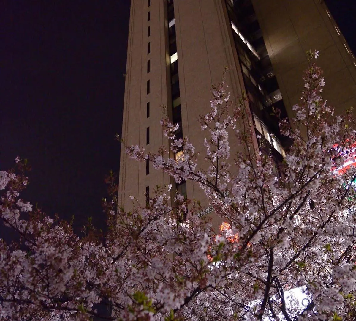 Tokyo Central Youth Hostel