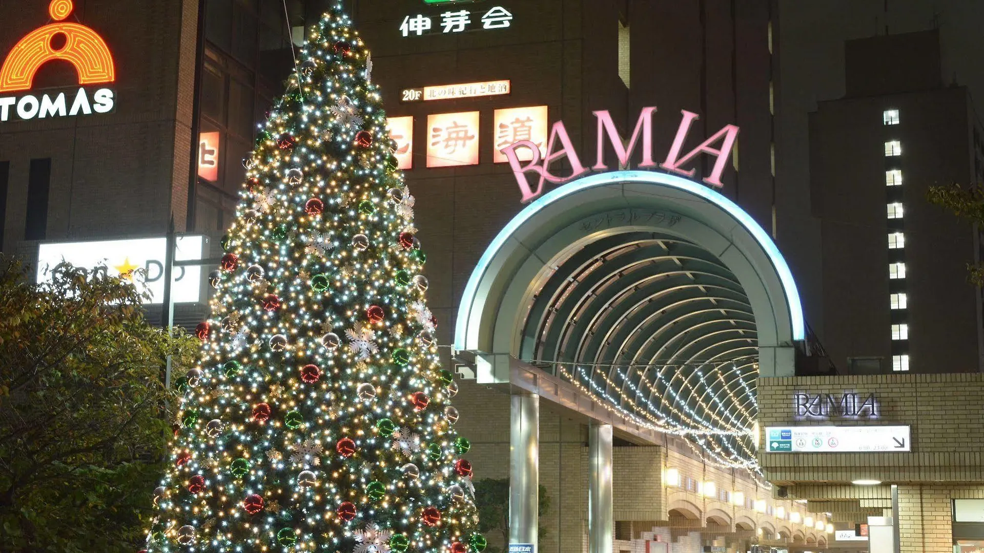 Tokyo Central Youth Hostel
